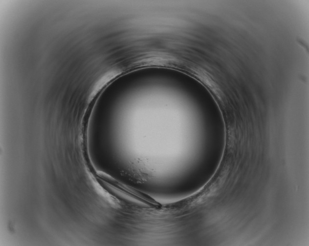 X0000096461042200801311508