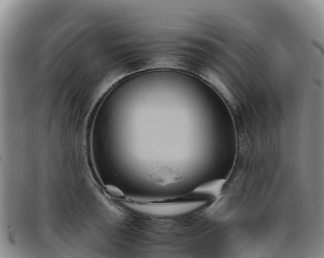 X0000096461043200801311508