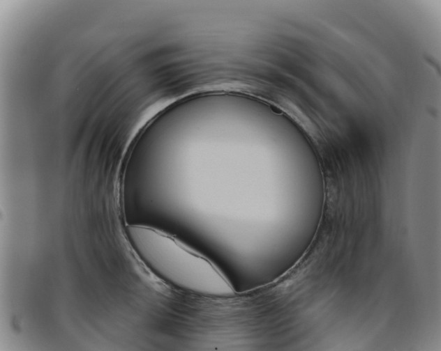X0000096461044200801311508