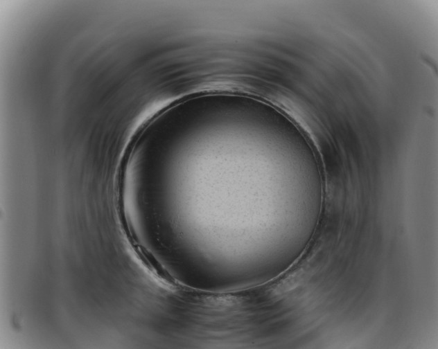 X0000096461045200801311508