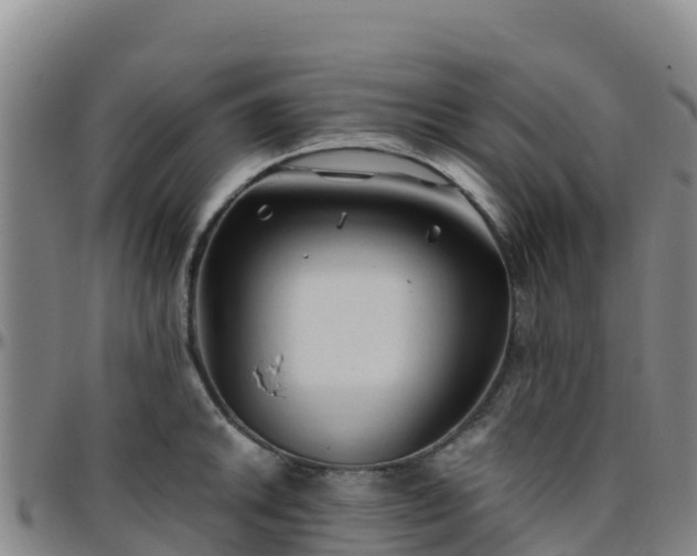 X0000096461046200801311508