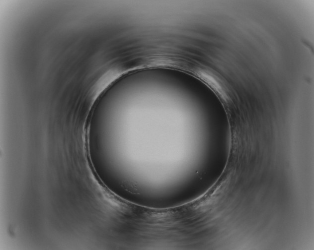 X0000096461047200801311508