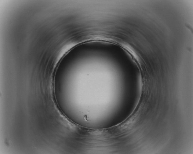 X0000096461048200801311508