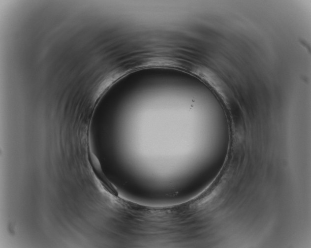 X0000096461049200801311508