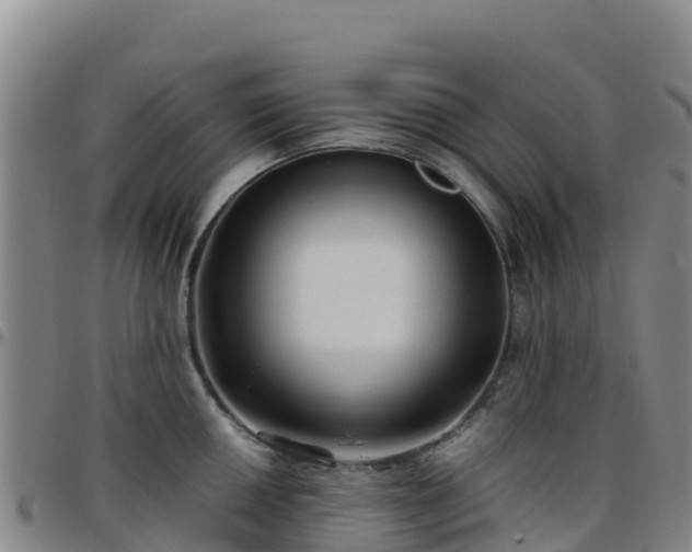 X0000096461050200801311508