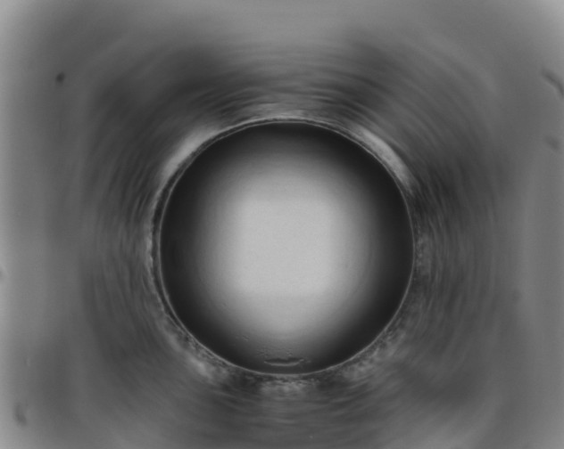 X0000096461051200801311508