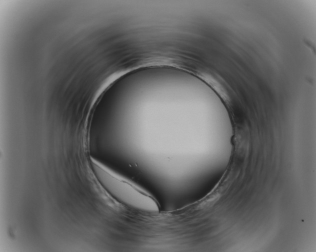 X0000096461052200801311508