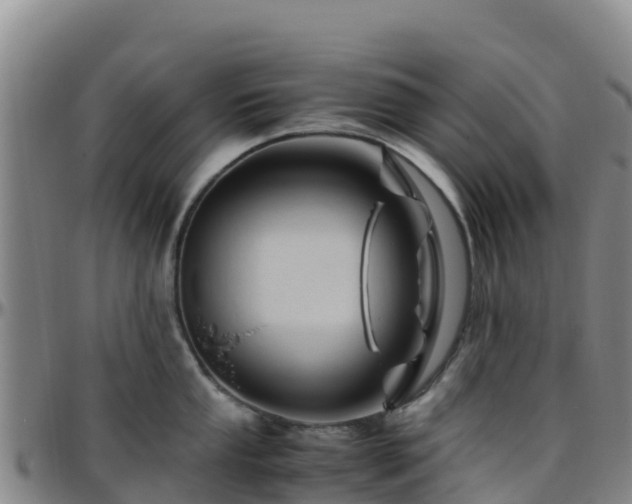 X0000096461053200801311508