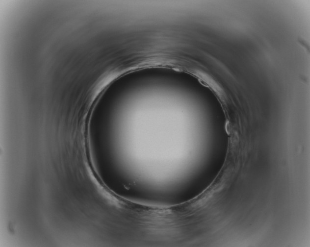 X0000096461055200801311508