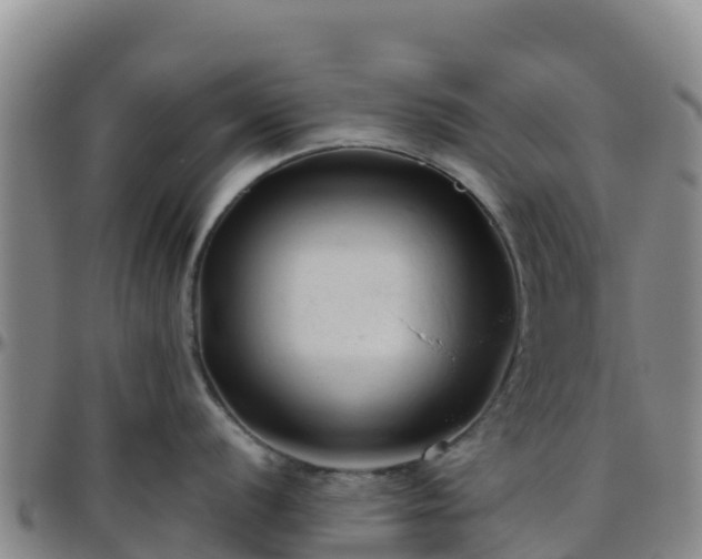 X0000096461056200801311508