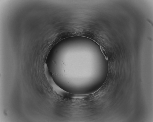 X0000096461057200801311507