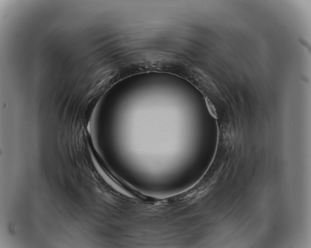 X0000096461060200801311507