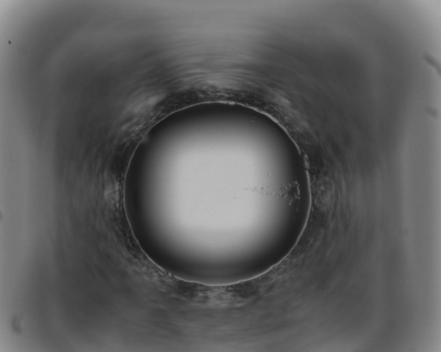 X0000096461061200801311507