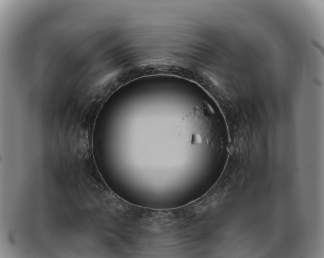 X0000096461062200801311507
