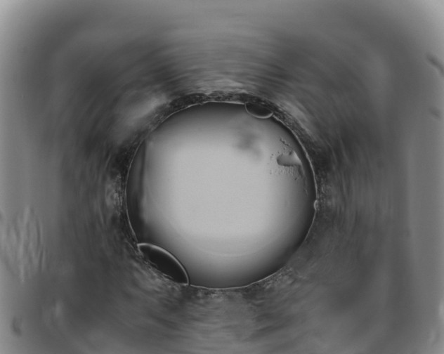 X0000096461063200801311507