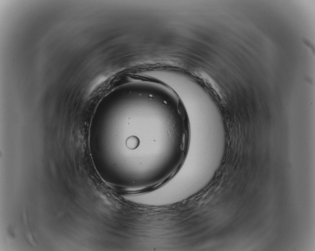 X0000096461064200801311507