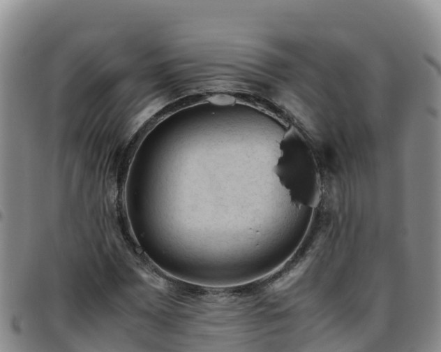 X0000096461065200801311507