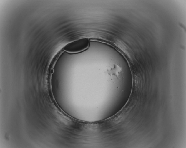 X0000096461068200801311507