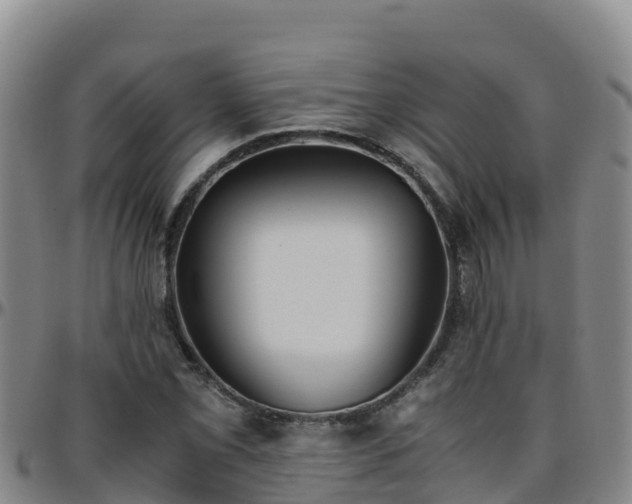 X0000096461069200801311507
