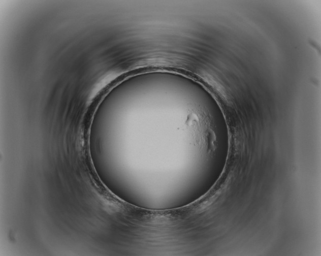 X0000096461070200801311507