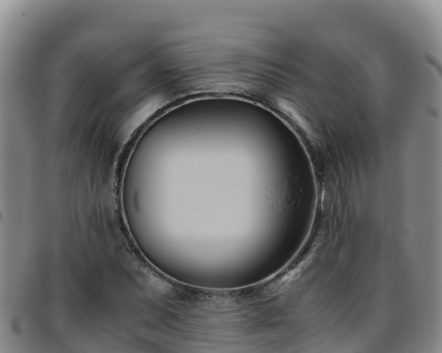 X0000096461071200801311507