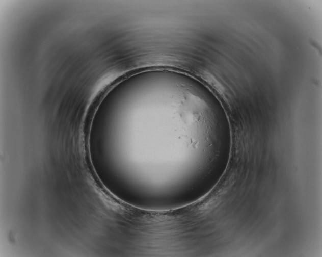 X0000096461072200801311507
