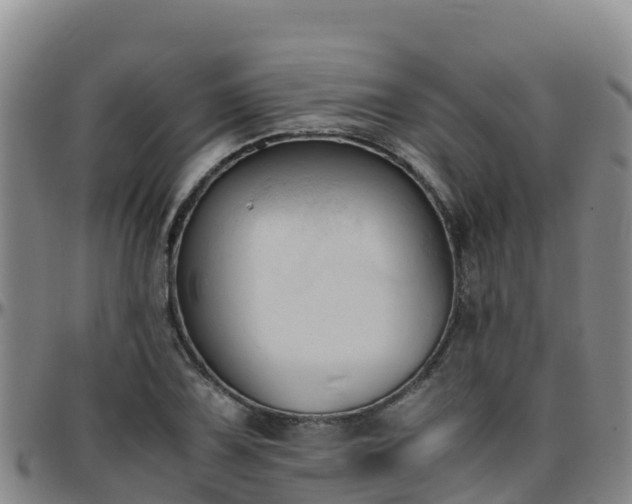 X0000096461075200801311507