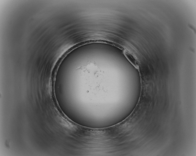 X0000096461076200801311507