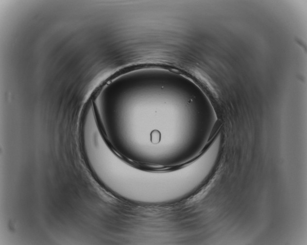 X0000096461077200801311507