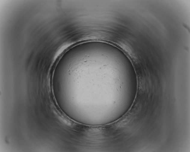 X0000096461078200801311507