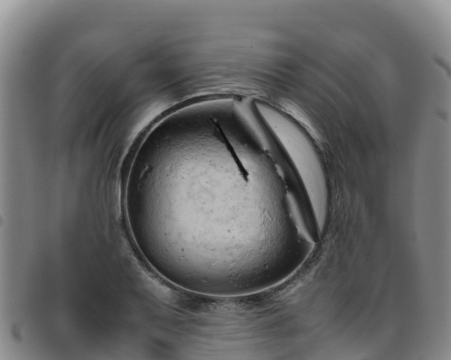 X0000096461079200801311507