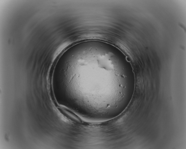 X0000096461082200801311507