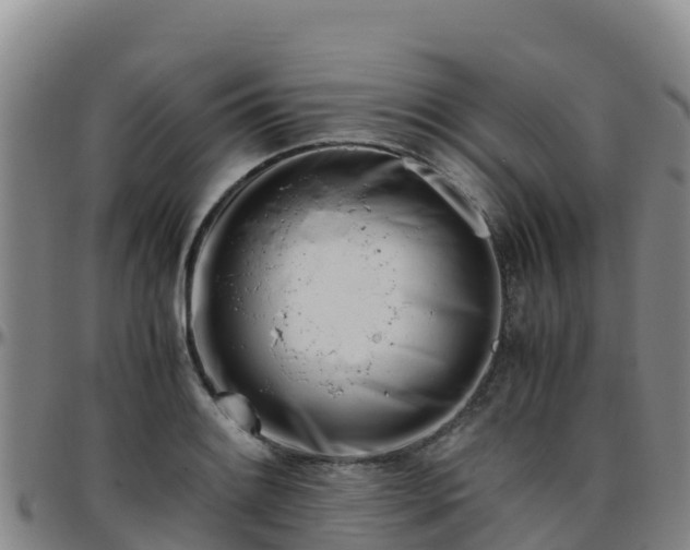 X0000096461084200801311507