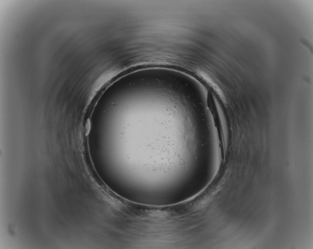 X0000096461085200801311507