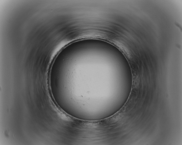 X0000096461086200801311507