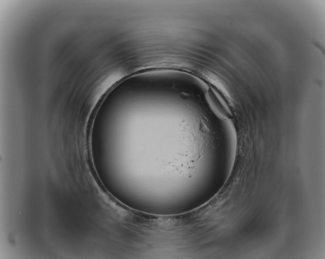 X0000096461087200801311507