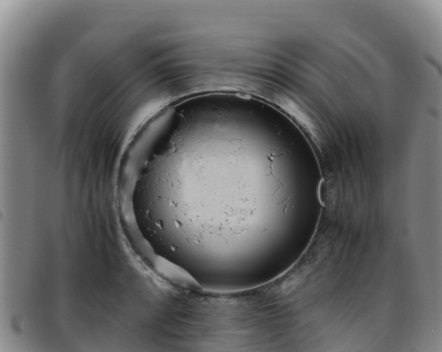 X0000096461088200801311507