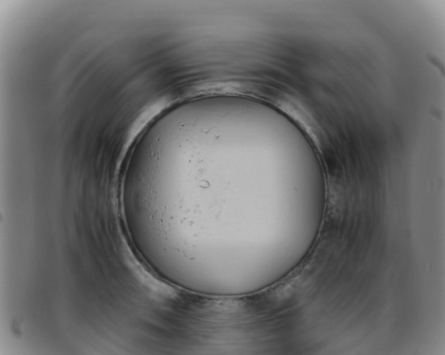 X0000096461090200801311507