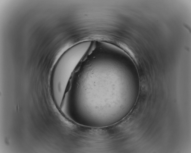X0000096461091200801311507