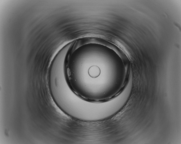 X0000096461092200801311507