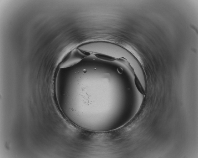 X0000096461093200801311507