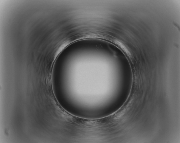 X0000096461097200801311507