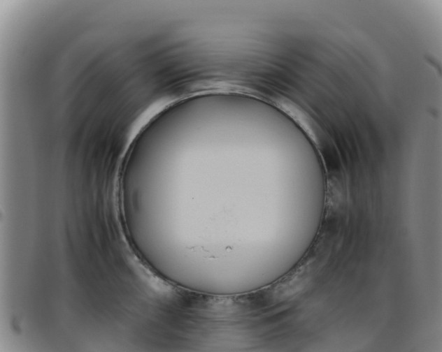 X0000096461098200801311507