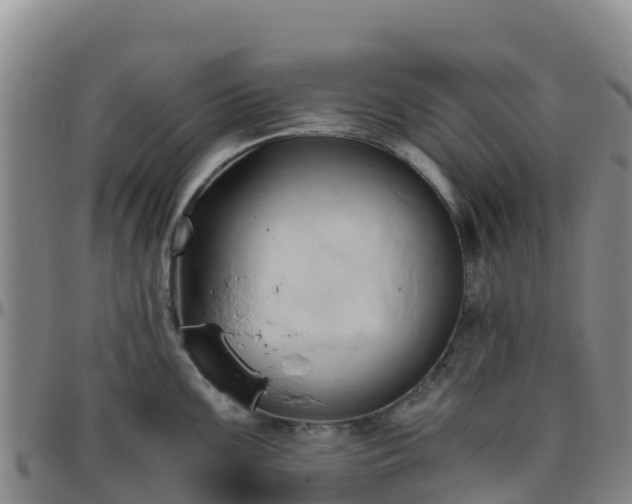 X0000096461099200801311507