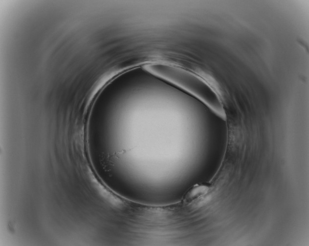 X0000096461100200801311506