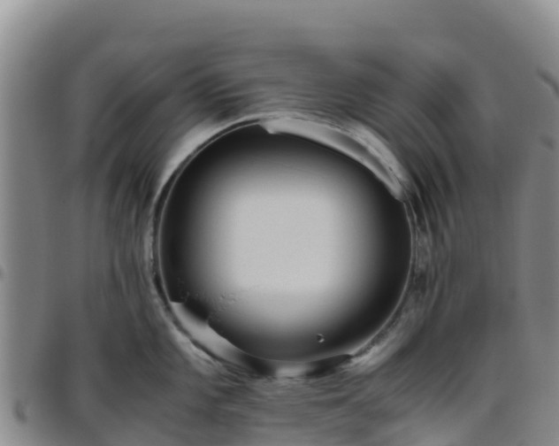 X0000096461101200801311506