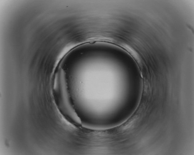 X0000096461102200801311506