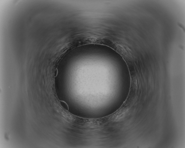 X0000096461105200801311506