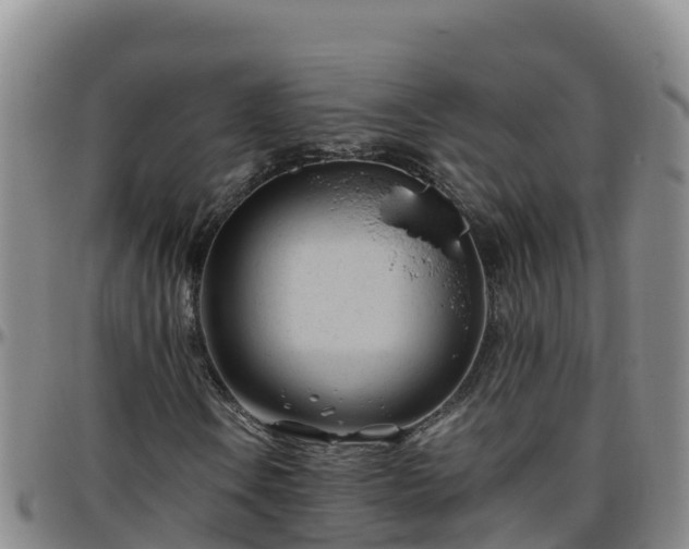 X0000096461106200801311506
