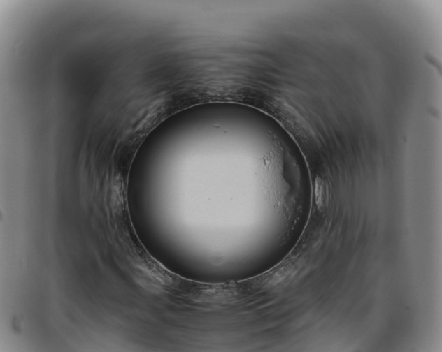 X0000096461107200801311506